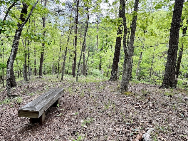 388 Hemlock Ridge Ln, Catawba, VA 24070 - view of community featuring a view of trees