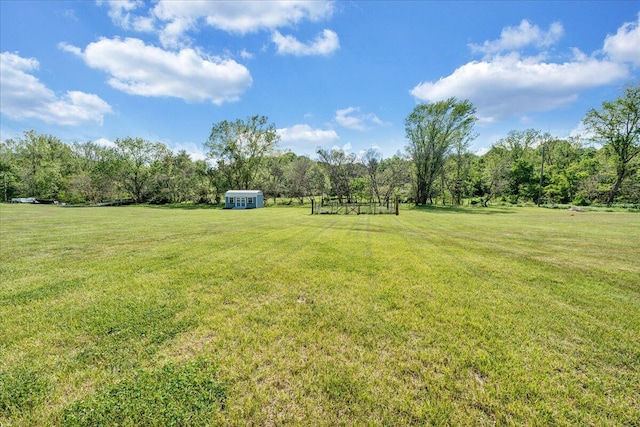 view of yard with a wooded view and a rural view