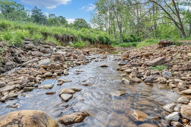 view of local wilderness
