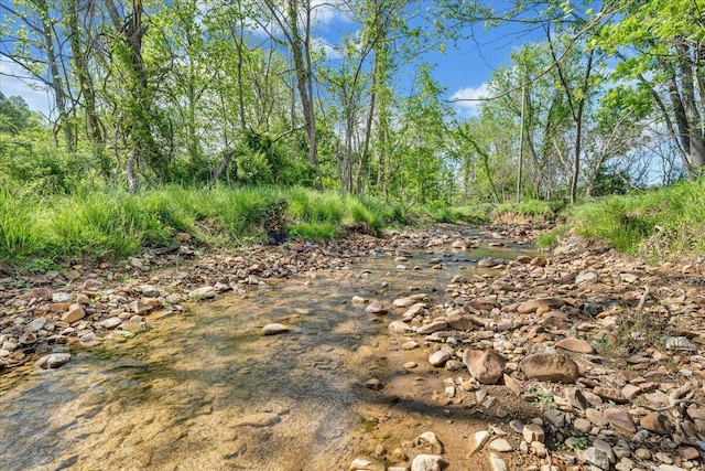 view of local wilderness