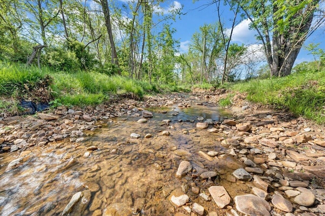 view of local wilderness
