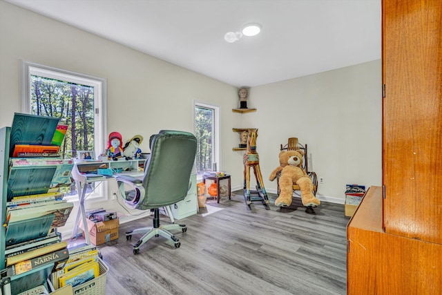 1393 Deepwoods Rd, Hardy, VA 24101 - office space featuring wood finished floors