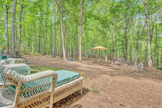 1393 Deepwoods Rd, Hardy, VA 24101 - view of yard with a view of trees