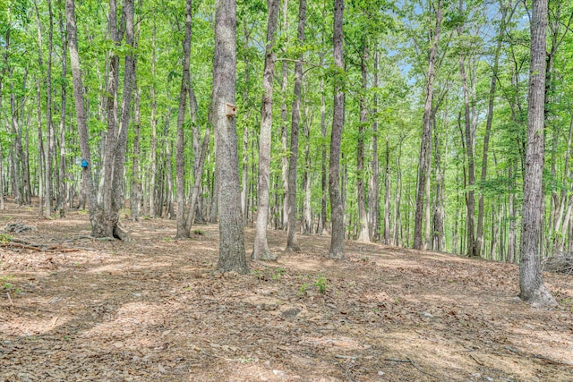 1393 Deepwoods Rd, Hardy, VA 24101 - view of tree filled area