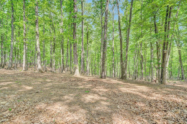 1393 Deepwoods Rd, Hardy, VA 24101 - view of woods