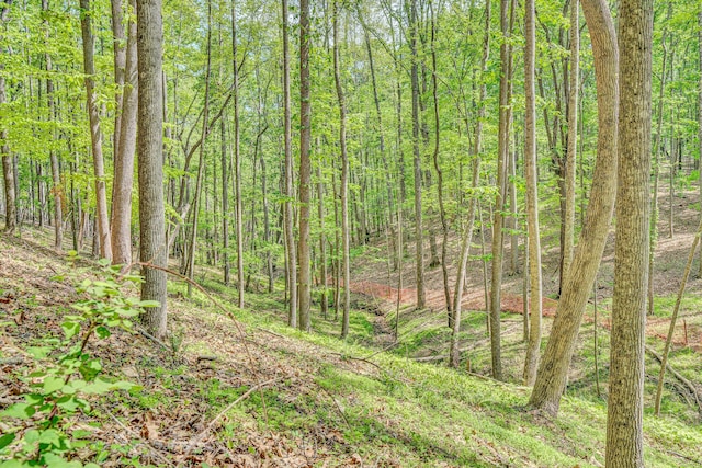 1393 Deepwoods Rd, Hardy, VA 24101 - view of woods