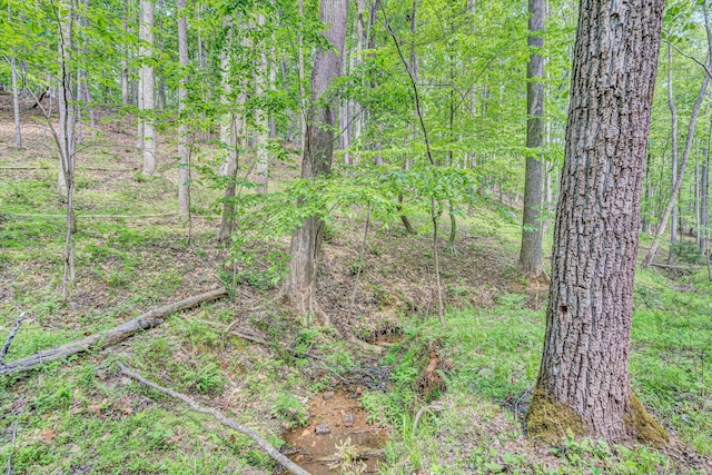 1393 Deepwoods Rd, Hardy, VA 24101 - view of wooded area