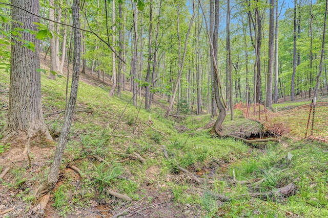 1393 Deepwoods Rd, Hardy, VA 24101 - view of woods