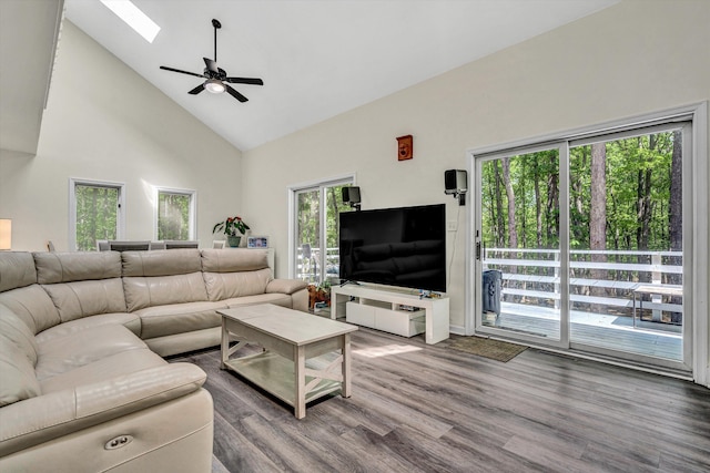 1393 Deepwoods Rd, Hardy, VA 24101 - living room with high vaulted ceiling, a ceiling fan, wood finished floors, and a skylight