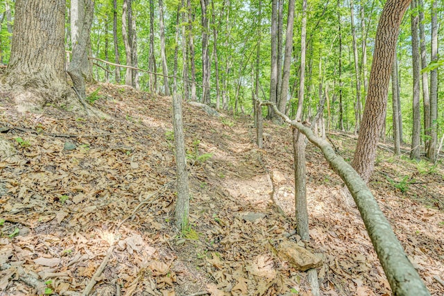 1393 Deepwoods Rd, Hardy, VA 24101 - view of woods