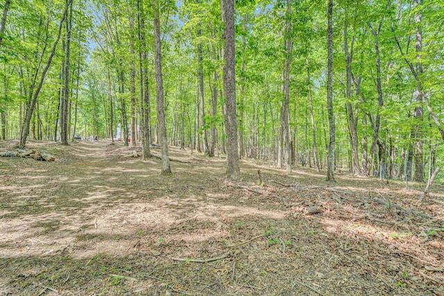 1393 Deepwoods Rd, Hardy, VA 24101 - view of wooded area