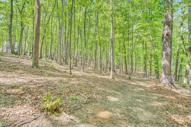1393 Deepwoods Rd, Hardy, VA 24101 - view of woods