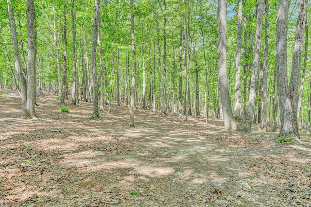 1393 Deepwoods Rd, Hardy, VA 24101 - view of tree filled area