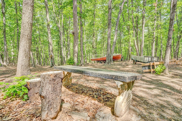 1393 Deepwoods Rd, Hardy, VA 24101 - view of yard with a wooded view