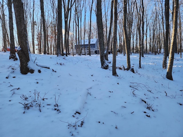 1393 Deepwoods Rd, Hardy, VA 24101 - view of snowy yard
