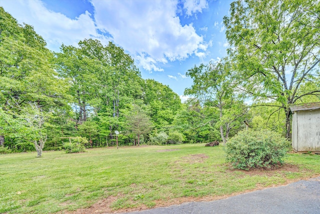 7080 Oak Level Rd, Bassett, VA 24055 - view of yard