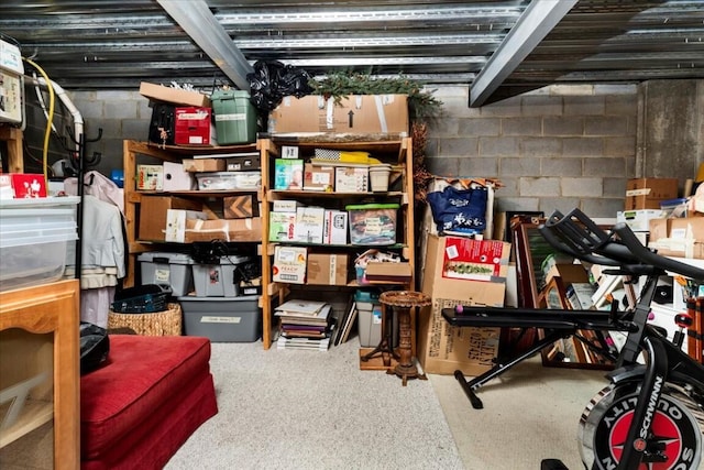 330 Sheliah Ct, Blacksburg, VA 24060 - view of storage area