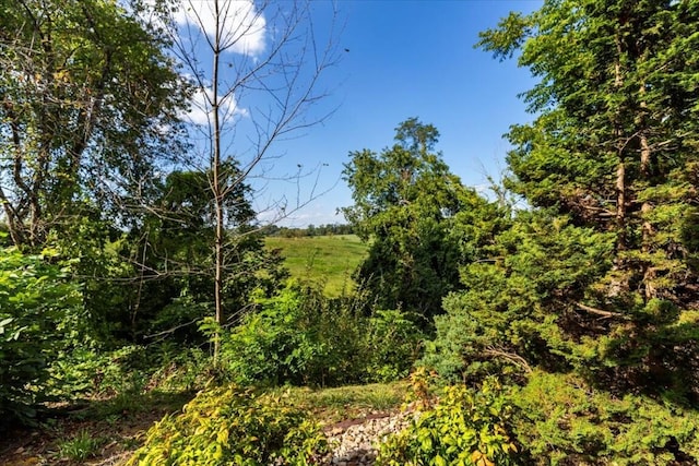 330 Sheliah Ct, Blacksburg, VA 24060 - view of local wilderness