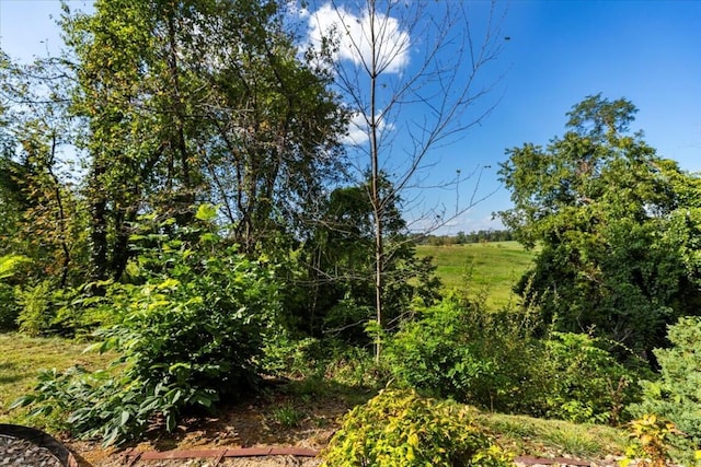 330 Sheliah Ct, Blacksburg, VA 24060 - view of nature