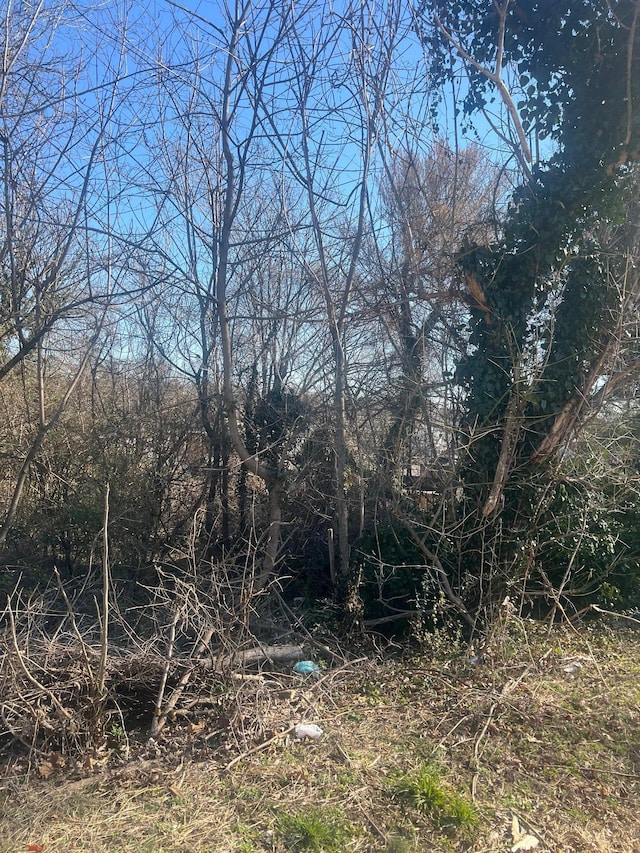 1511 Essex Ave NW, Roanoke VA, 24017 land for sale