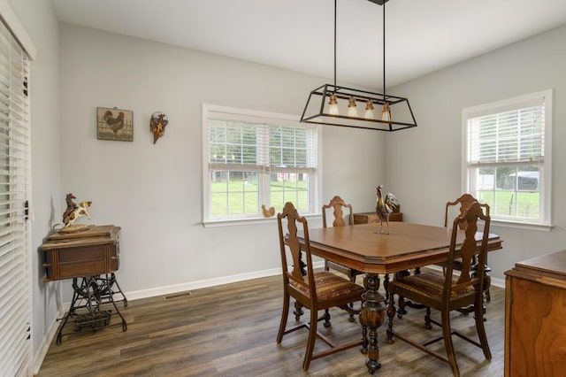 1169 Mountain Creek Ln, Big Island, VA 24526 - dining area featuring plenty of natural light, dark wood-type flooring, and baseboards