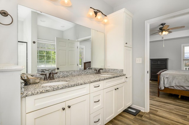 1169 Mountain Creek Ln, Big Island, VA 24526 - full bath featuring ensuite bath, wood finished floors, healthy amount of natural light, and a ceiling fan
