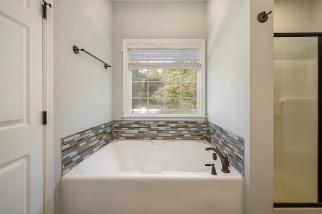1169 Mountain Creek Ln, Big Island, VA 24526 - bathroom with a bath and a stall shower
