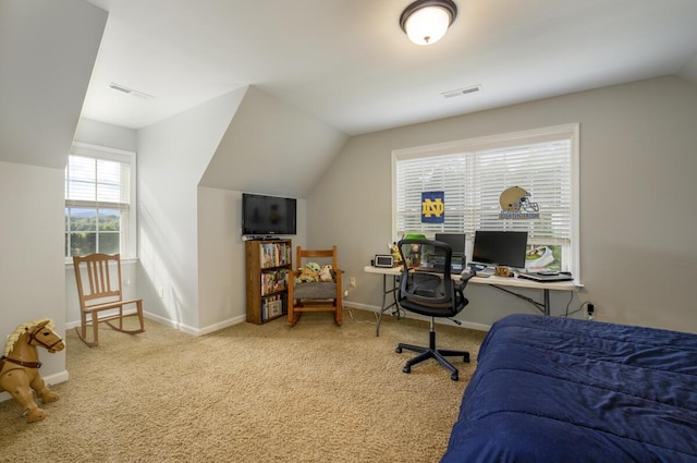 1169 Mountain Creek Ln, Big Island, VA 24526 - carpeted bedroom featuring lofted ceiling and baseboards