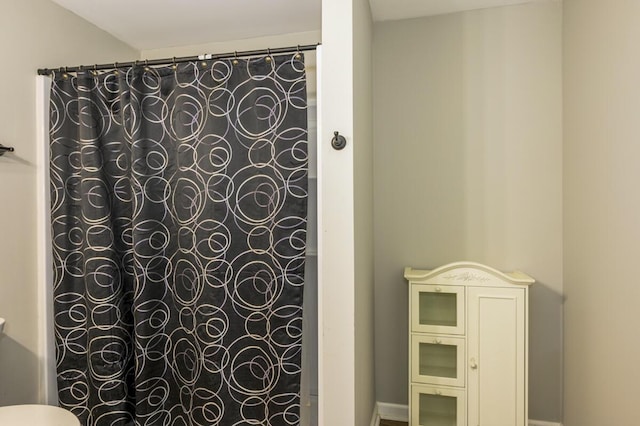 1169 Mountain Creek Ln, Big Island, VA 24526 - full bath featuring a shower with shower curtain