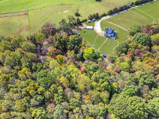 1169 Mountain Creek Ln, Big Island, VA 24526 - aerial view of sparsely populated area