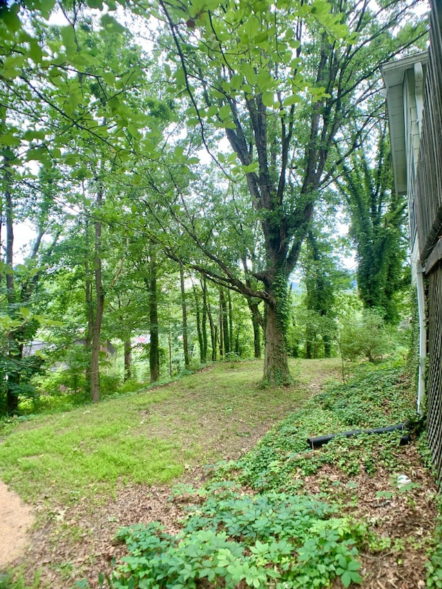 view of nature
