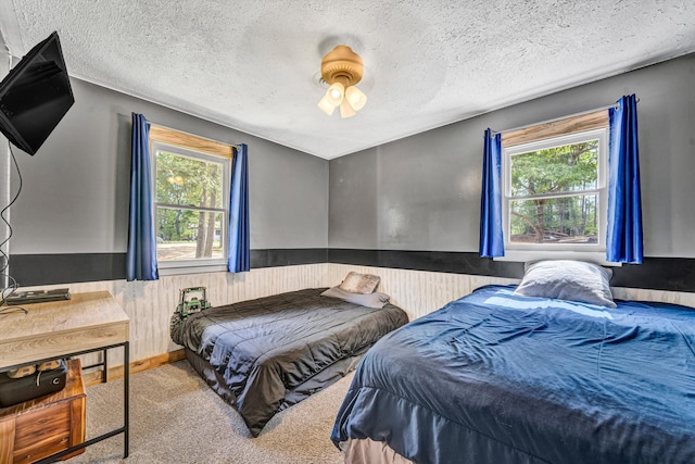 bedroom featuring a wainscoted wall, multiple windows, carpet, and a textured ceiling