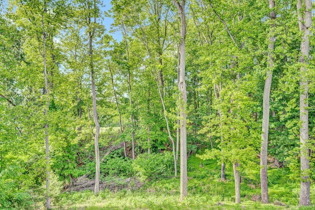 80 Farmers Cir, Moneta, VA 24121 - view of woods