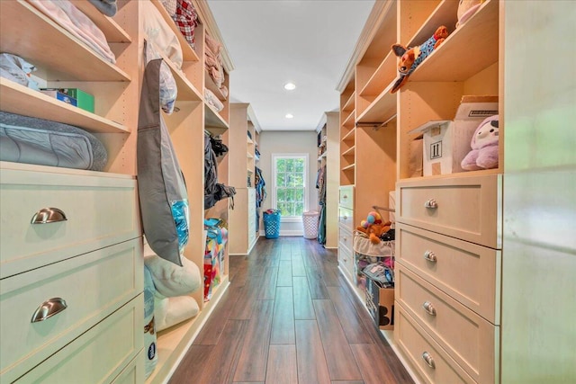 walk in closet with dark wood-style flooring