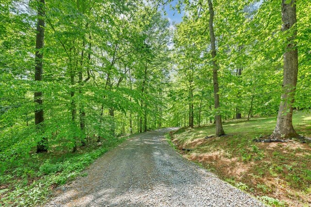 view of street with a view of trees