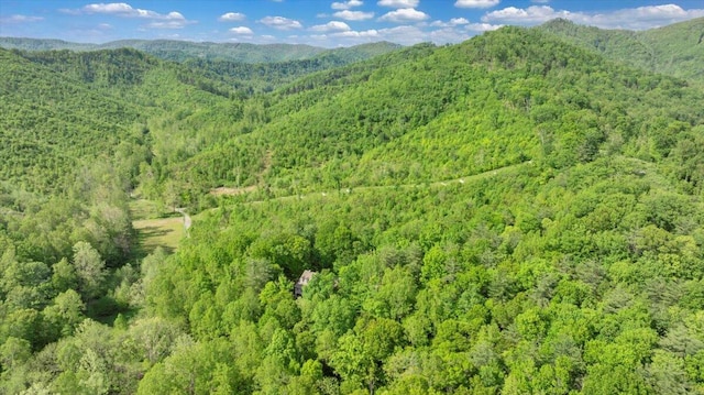 mountain view with a forest view