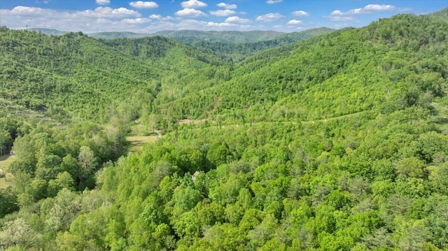 property view of mountains with a wooded view