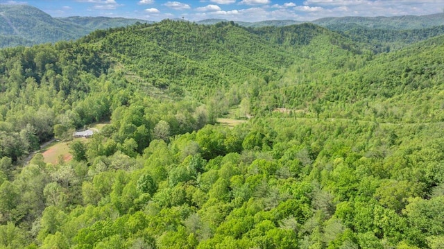 mountain view featuring a view of trees