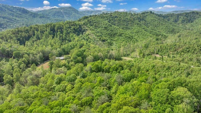property view of mountains featuring a wooded view