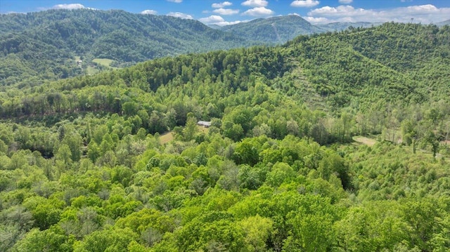 view of mountain feature with a forest view
