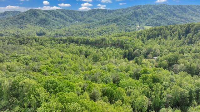 property view of mountains featuring a view of trees