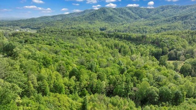 property view of mountains featuring a wooded view