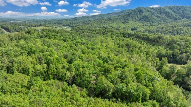 drone / aerial view featuring a view of trees and a mountain view