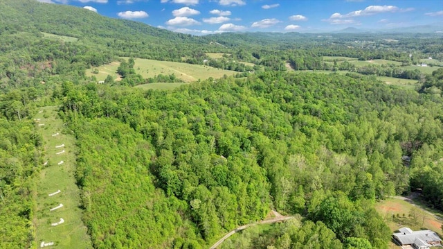 birds eye view of property featuring a wooded view