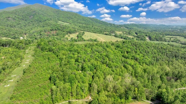bird's eye view featuring a mountain view and a forest view