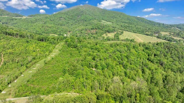 view of mountain feature with a wooded view