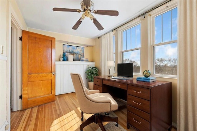 office area featuring light wood finished floors and ceiling fan