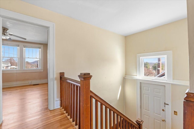 staircase featuring wood finished floors and ceiling fan