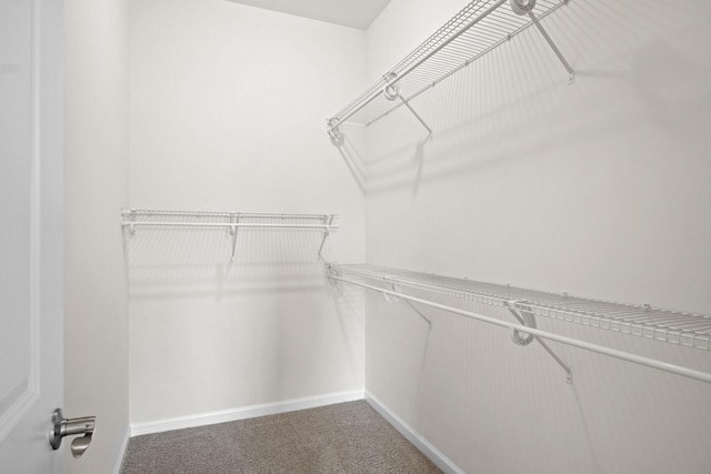 5595 New Pleasant Way, Salem, VA 24153 - walk in closet featuring carpet flooring