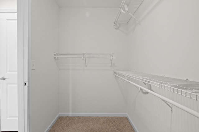 5595 New Pleasant Way, Salem, VA 24153 - walk in closet with light carpet